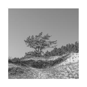 菊池风磨水溶溶的尺寸和参数介绍
